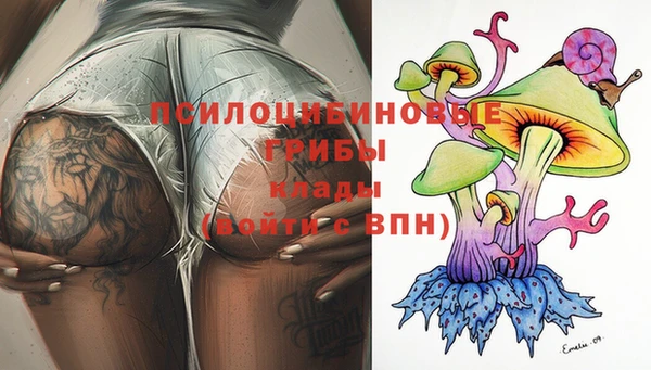 дурь Липки