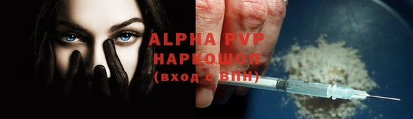 шишки Анива