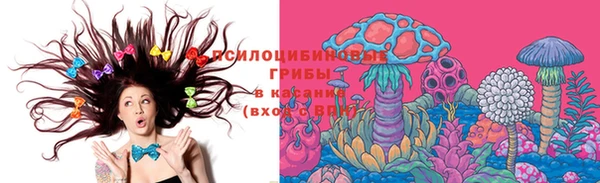 гашик Лиски