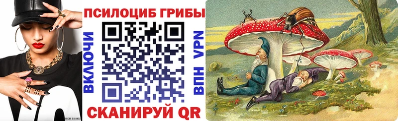 Псилоцибиновые грибы прущие грибы  Чердынь 